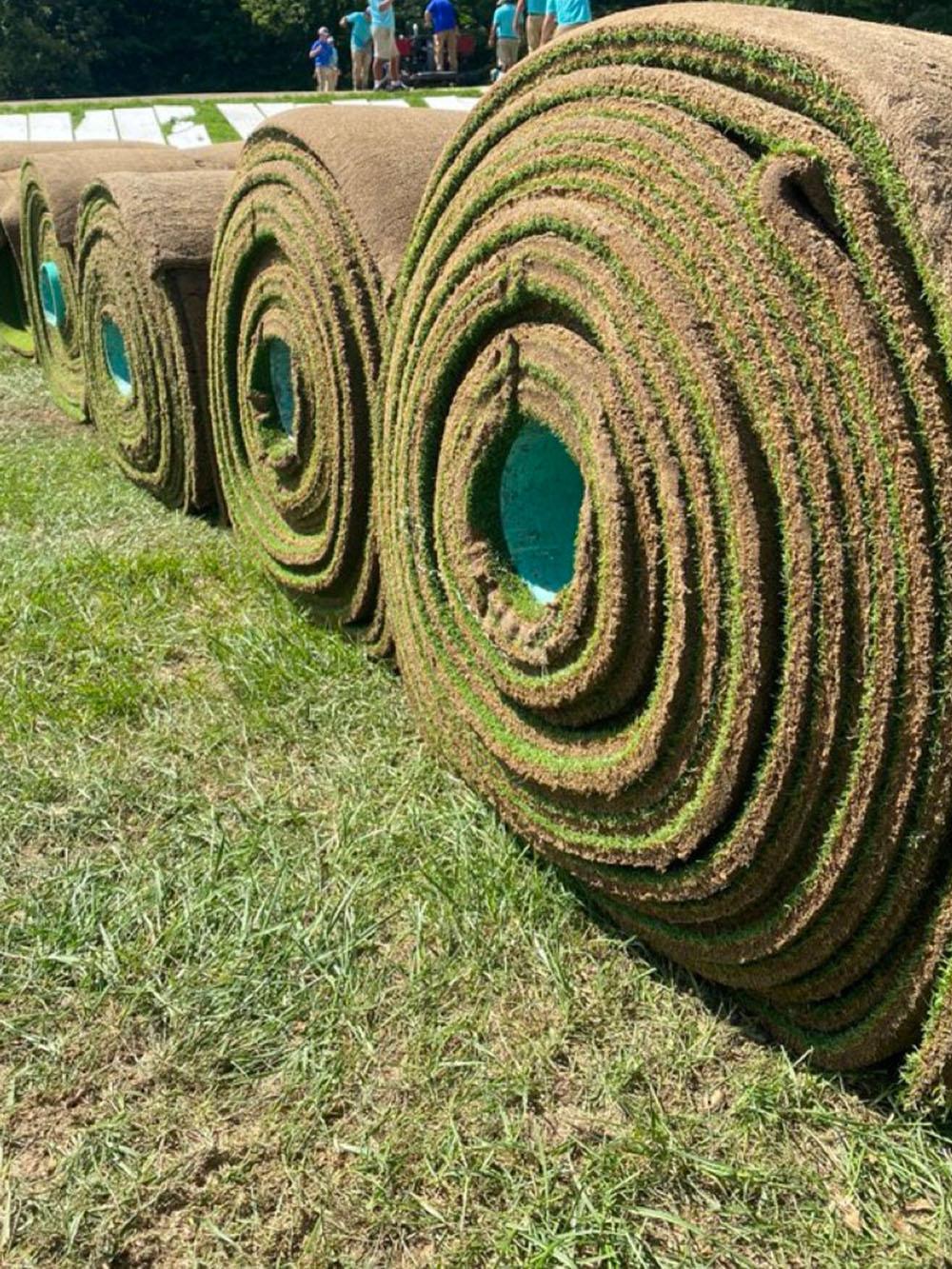 A-LIST Sod Blend